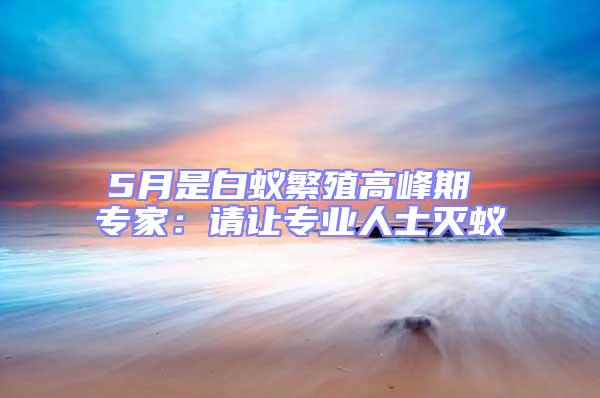 5月是白蟻繁殖高峰期 專家：請讓專業(yè)人士滅蟻