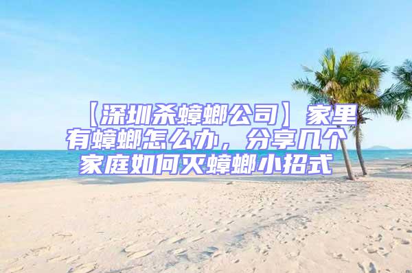 【深圳殺蟑螂公司】家里有蟑螂怎么辦，分享幾個家庭如何滅蟑螂小招式