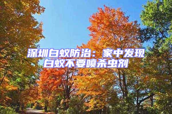 深圳白蟻防治：家中發(fā)現(xiàn)白蟻不要噴殺蟲劑