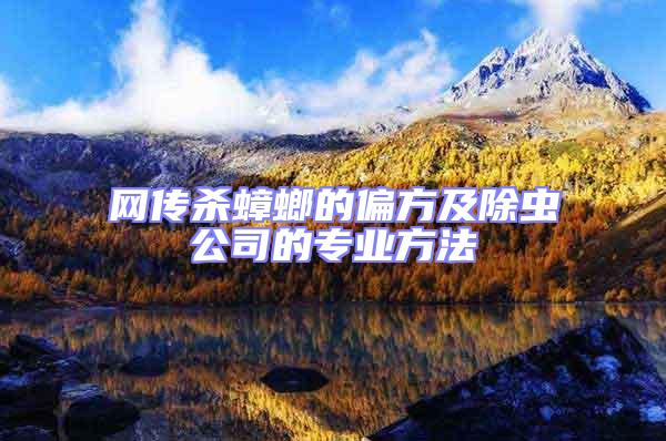 網(wǎng)傳殺蟑螂的偏方及除蟲(chóng)公司的專業(yè)方法