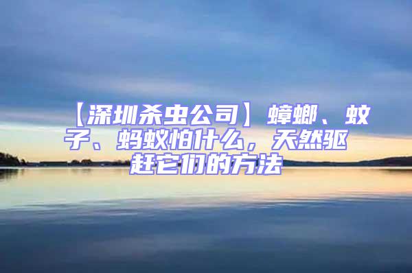 【深圳殺蟲公司】蟑螂、蚊子、螞蟻怕什么，天然驅趕它們的方法
