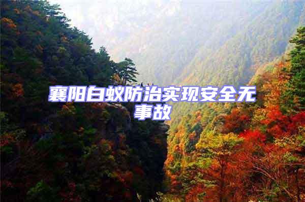 襄陽白蟻防治實現安全無事故