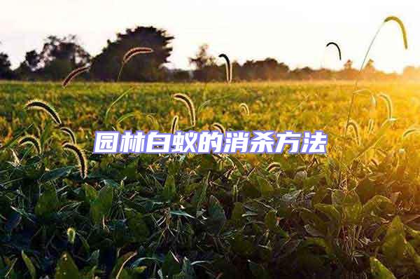 園林白蟻的消殺方法