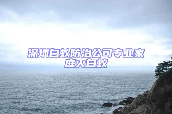 深圳白蟻防治公司專業(yè)家庭滅白蟻