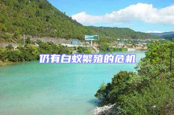 仍有白蟻繁殖的危機(jī)