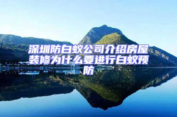 深圳防白蟻公司介紹房屋裝修為什么要進(jìn)行白蟻預(yù)防