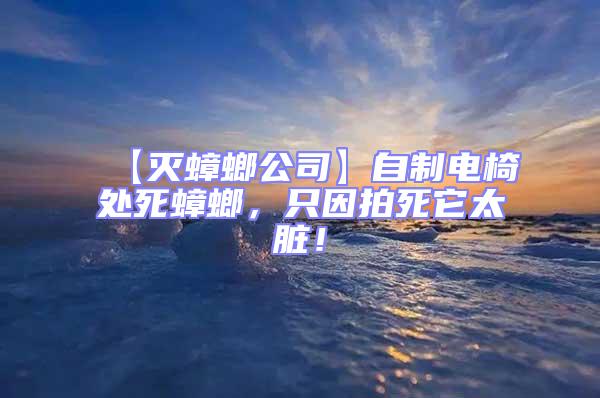 【滅蟑螂公司】自制電椅處死蟑螂，只因拍死它太臟！