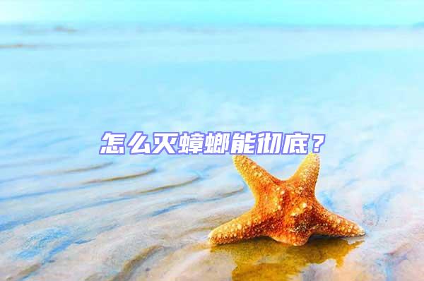 怎么滅蟑螂能徹底？
