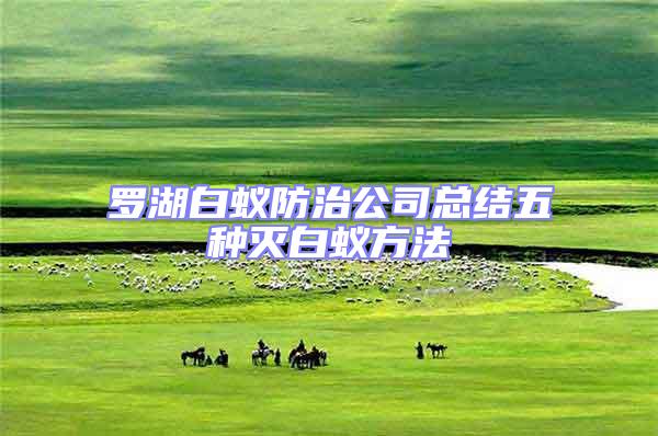 羅湖白蟻防治公司總結五種滅白蟻方法