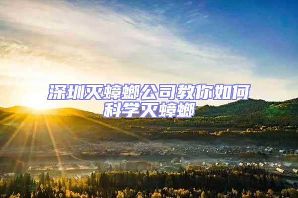 深圳滅蟑螂公司教你如何科學滅蟑螂