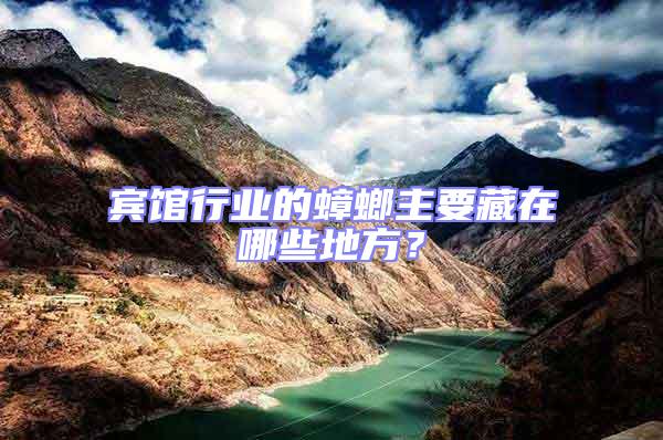 賓館行業的蟑螂主要藏在哪些地方？