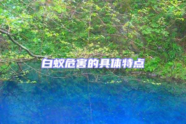 白蟻危害的具體特點(diǎn)
