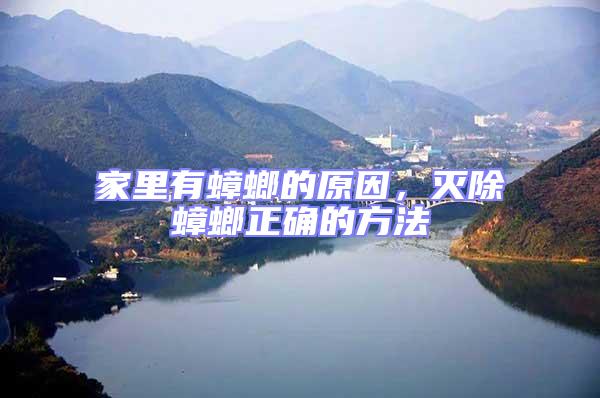 家里有蟑螂的原因，滅除蟑螂正確的方法