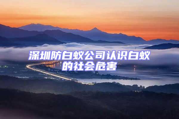 深圳防白蟻公司認(rèn)識(shí)白蟻的社會(huì)危害