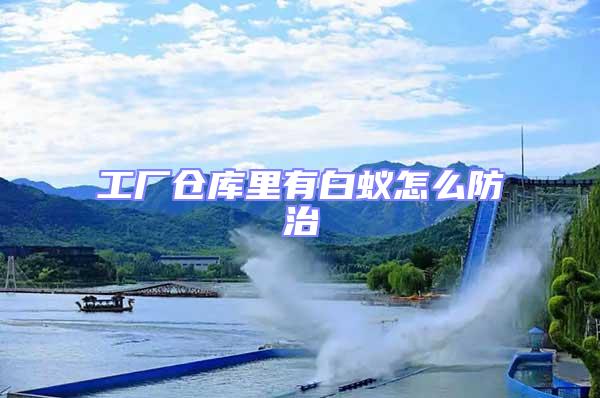 工廠(chǎng)倉(cāng)庫(kù)里有白蟻怎么防治