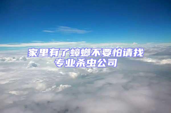 家里有了蟑螂不要怕請找專業(yè)殺蟲公司