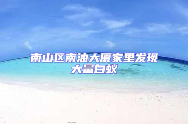 南山區南油大廈家里發現大量白蟻