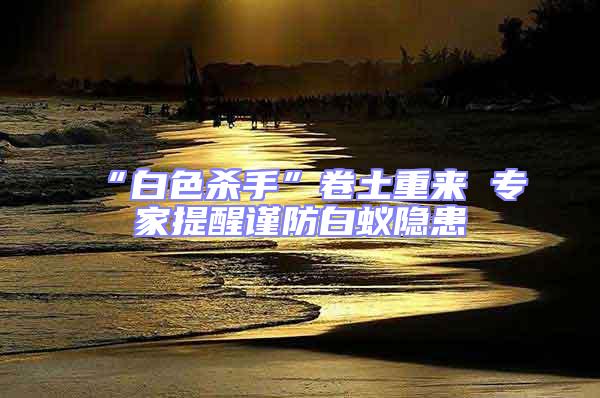 “白色殺手”卷土重來 專家提醒謹(jǐn)防白蟻隱患