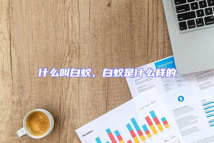什么叫白蟻，白蟻是什么樣的