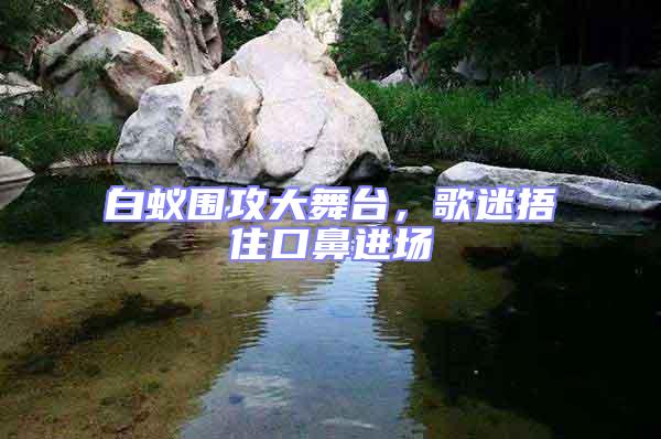白蟻圍攻大舞臺，歌迷捂住口鼻進(jìn)場