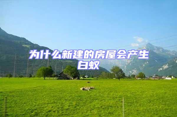 為什么新建的房屋會(huì)產(chǎn)生白蟻