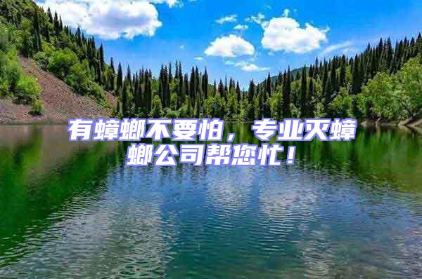 有蟑螂不要怕，專業滅蟑螂公司幫您忙！