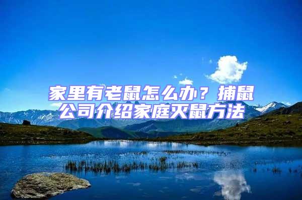 家里有老鼠怎么辦？捕鼠公司介紹家庭滅鼠方法