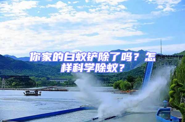 你家的白蟻鏟除了嗎？怎樣科學(xué)除蟻？