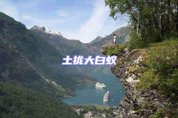 土攏大白蟻