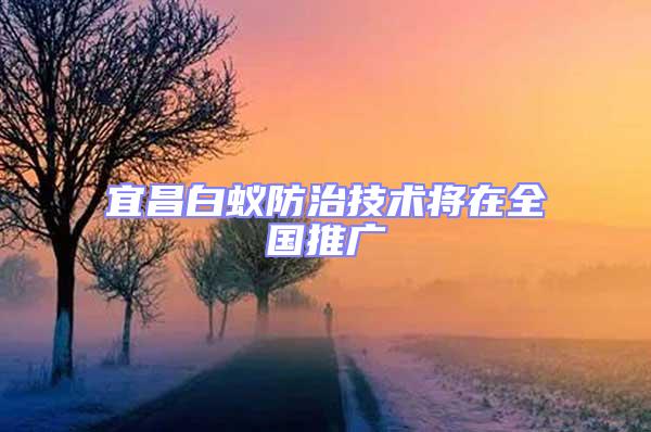 宜昌白蟻防治技術(shù)將在全國(guó)推廣