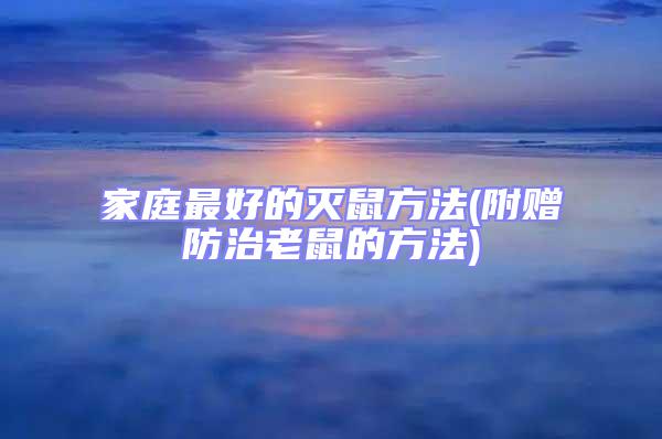 家庭最好的滅鼠方法(附贈(zèng)防治老鼠的方法)