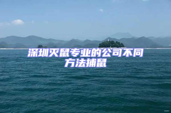 深圳滅鼠專業的公司不同方法捕鼠