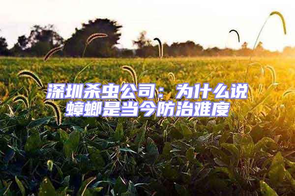 深圳殺蟲公司：為什么說(shuō)蟑螂是當(dāng)今防治難度