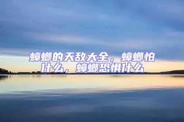 蟑螂的天敵大全，蟑螂怕什么，蟑螂恐懼什么