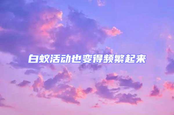 白蟻活動(dòng)也變得頻繁起來(lái)