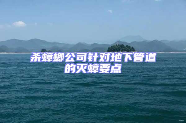 殺蟑螂公司針對地下管道的滅蟑要點