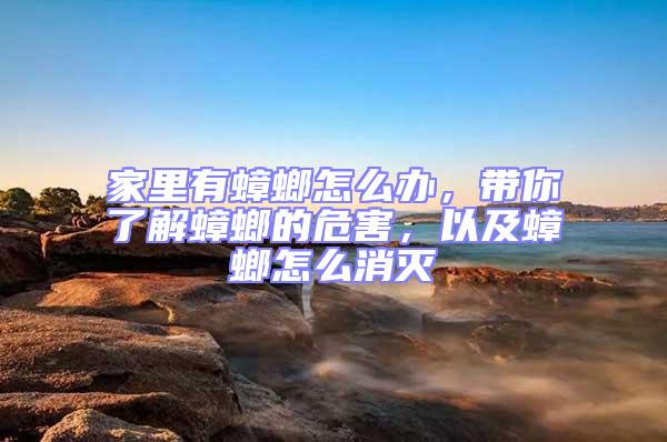 家里有蟑螂怎么辦，帶你了解蟑螂的危害，以及蟑螂怎么消滅