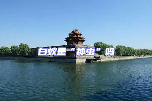 白蟻是“神蟲(chóng)”嗎