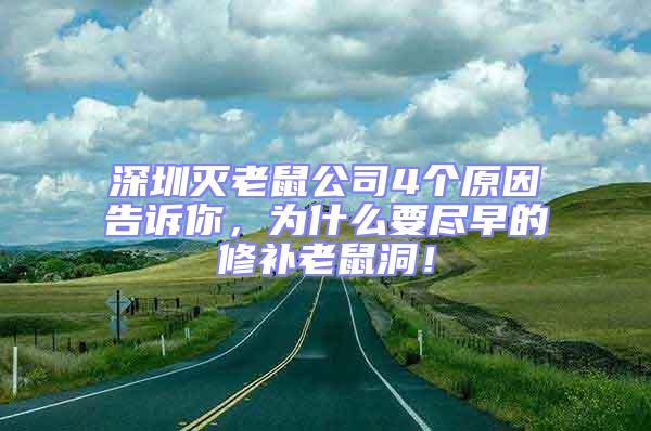 深圳滅老鼠公司4個原因告訴你，為什么要盡早的修補老鼠洞！