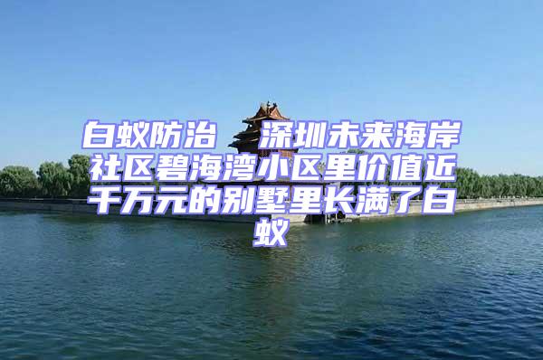 白蟻防治  深圳未來海岸社區(qū)碧海灣小區(qū)里價值近千萬元的別墅里長滿了白蟻
