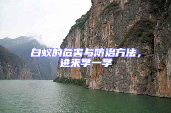 白蟻的危害與防治方法，進來學一學