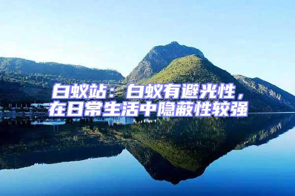 白蟻站：白蟻有避光性，在日常生活中隱蔽性較強(qiáng)