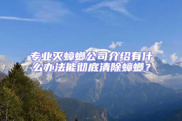 專業滅蟑螂公司介紹有什么辦法能徹底清除蟑螂？