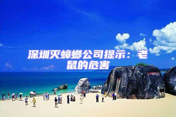 深圳滅蟑螂公司提示：老鼠的危害