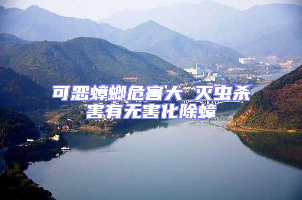 可惡蟑螂危害大 滅蟲殺害有無害化除蟑