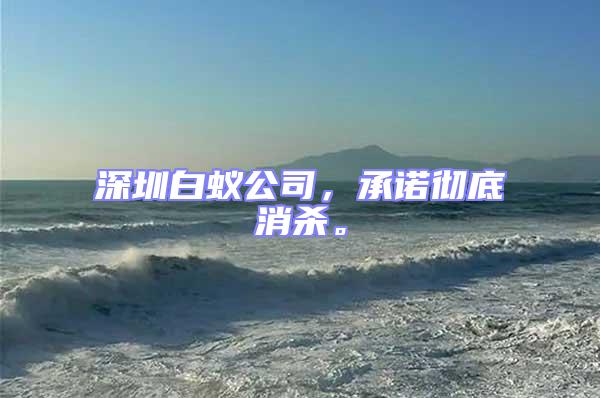 深圳白蟻公司，承諾徹底消殺。