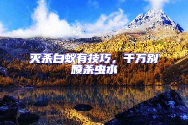 滅殺白蟻有技巧，千萬別噴殺蟲水