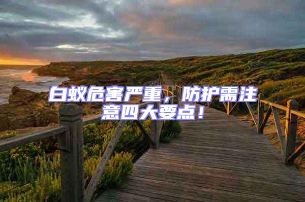 白蟻危害嚴重，防護需注意四大要點！
