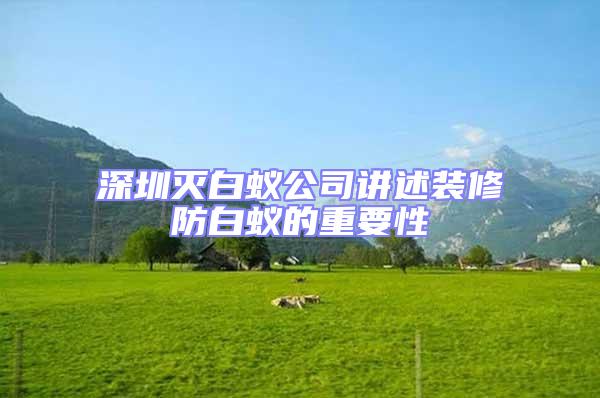 深圳滅白蟻公司講述裝修防白蟻的重要性
