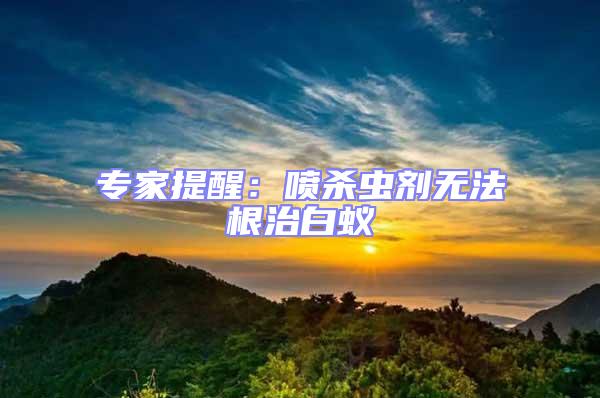 專(zhuān)家提醒：噴殺蟲(chóng)劑無(wú)法根治白蟻